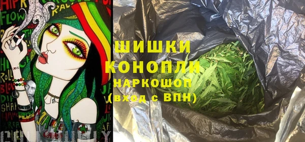 прущие грибы Балабаново