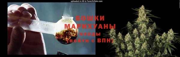 гидра Баксан