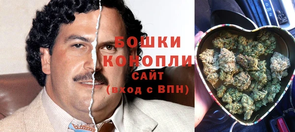 прущие грибы Балабаново