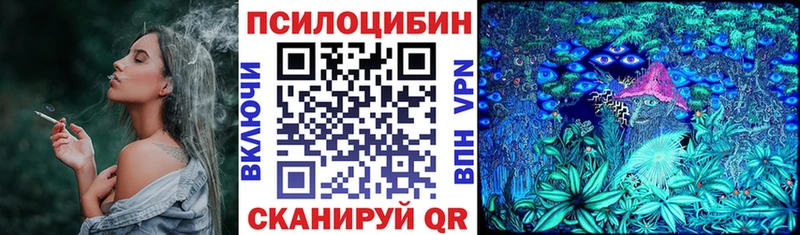 omg ссылки  Опочка  Галлюциногенные грибы Cubensis 